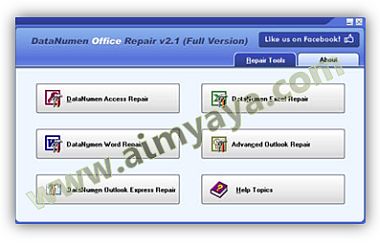  Gambar: Interface DataNumen Office Repair