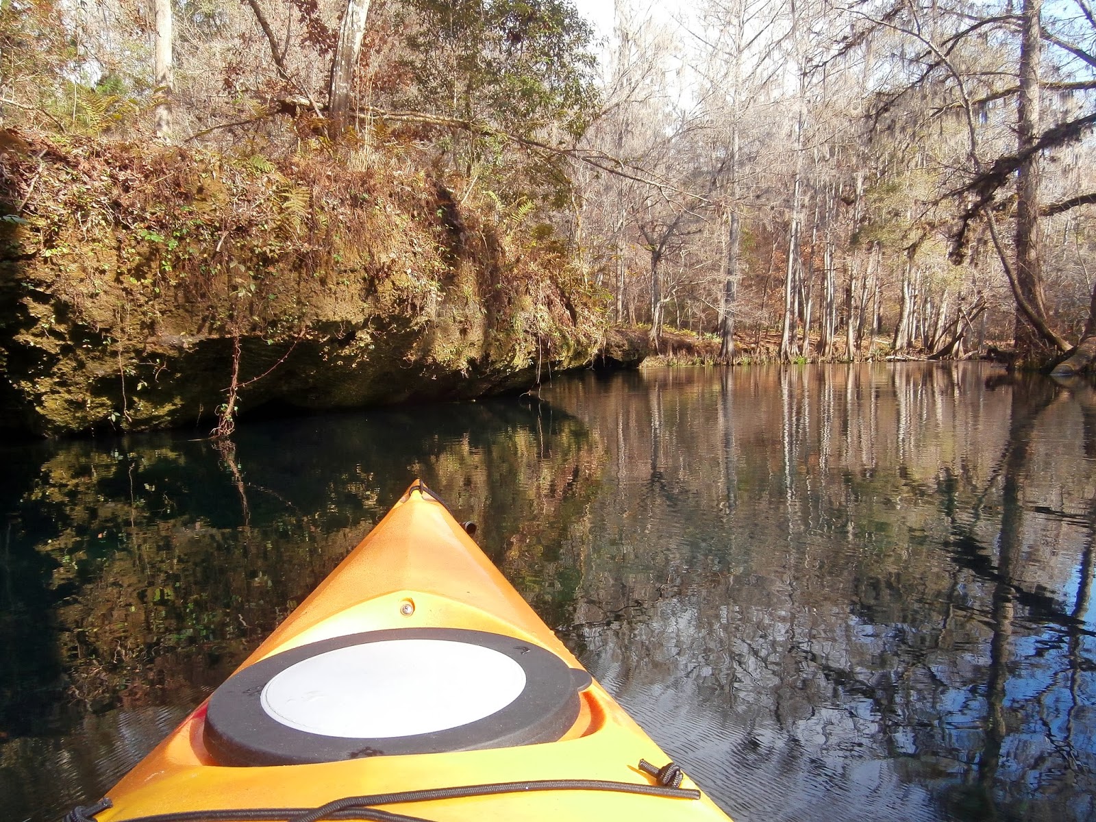 Outdoor South Ichetucknee River