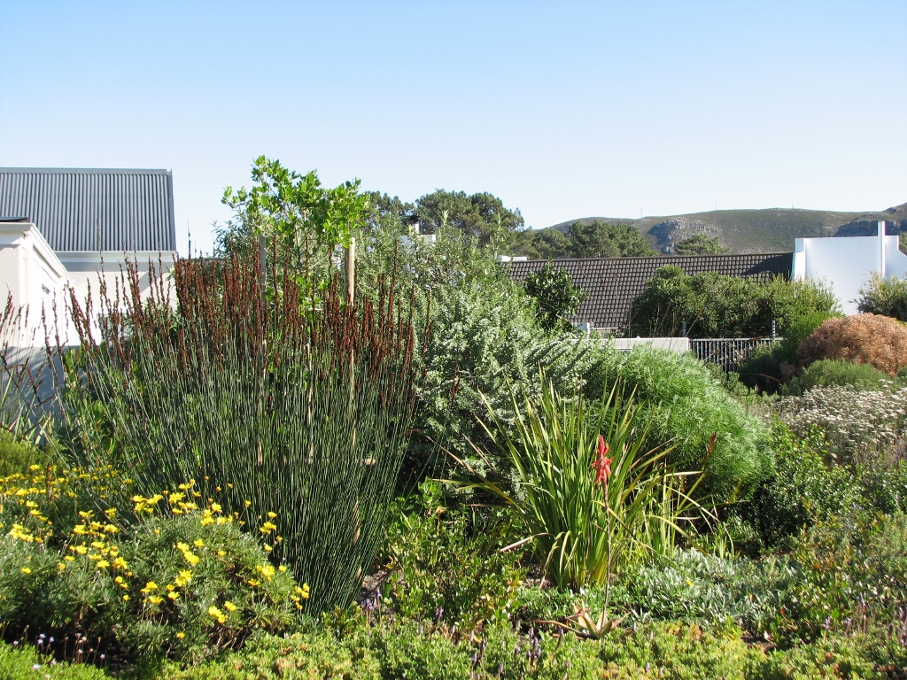 Fynbos Gardens Hermanus House Eustace Prestwick Village Hermanus.