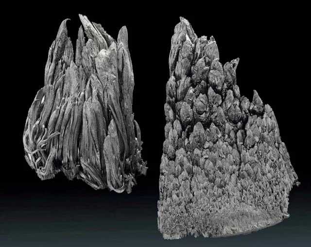 Researchers Find Vast Reserve of Rare Earth Minerals