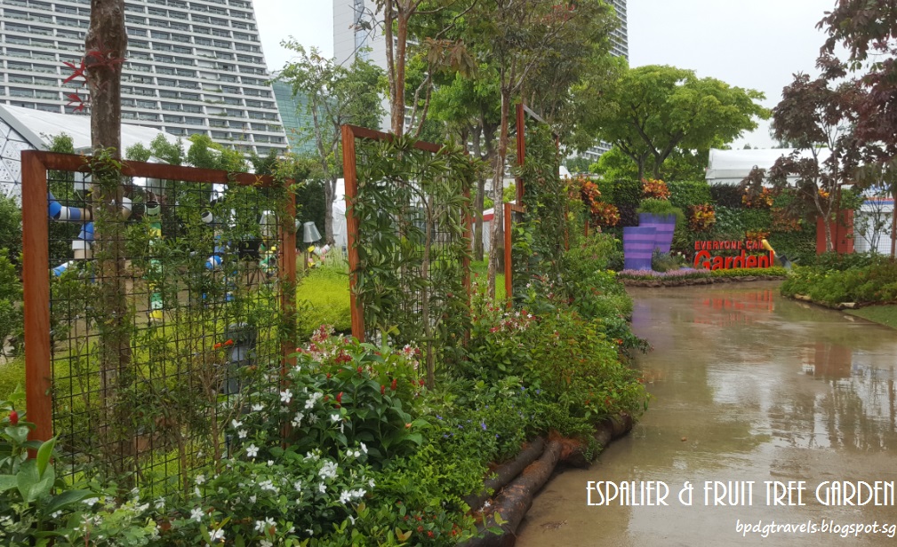 Natural Hedges To Block Neighbors Privacy Wall Garden Ideas