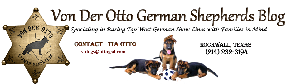 Von der Otto German Shepherds Blog