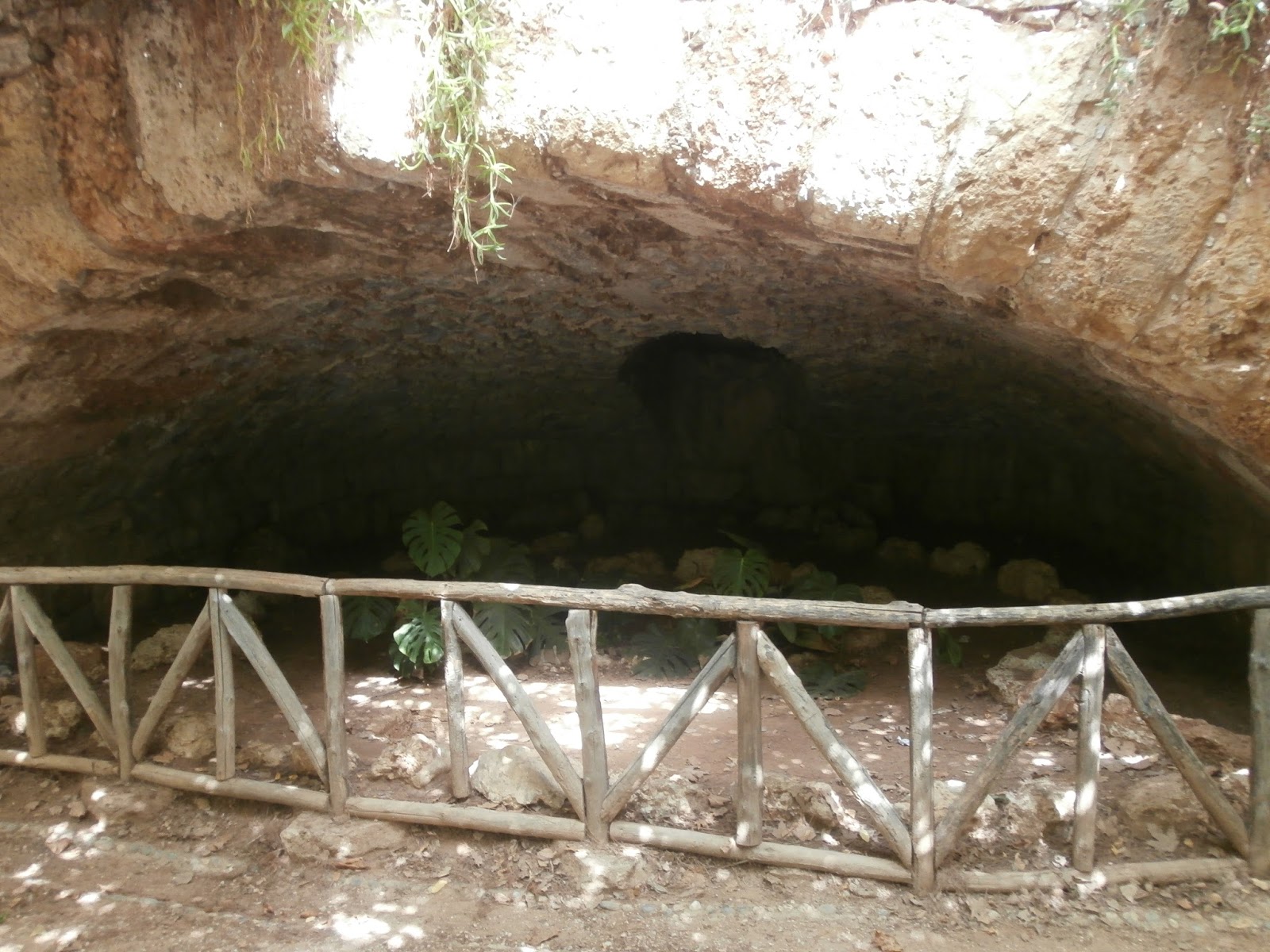 METIDO EN JARDINES: Jardin Nacional de Atenas.