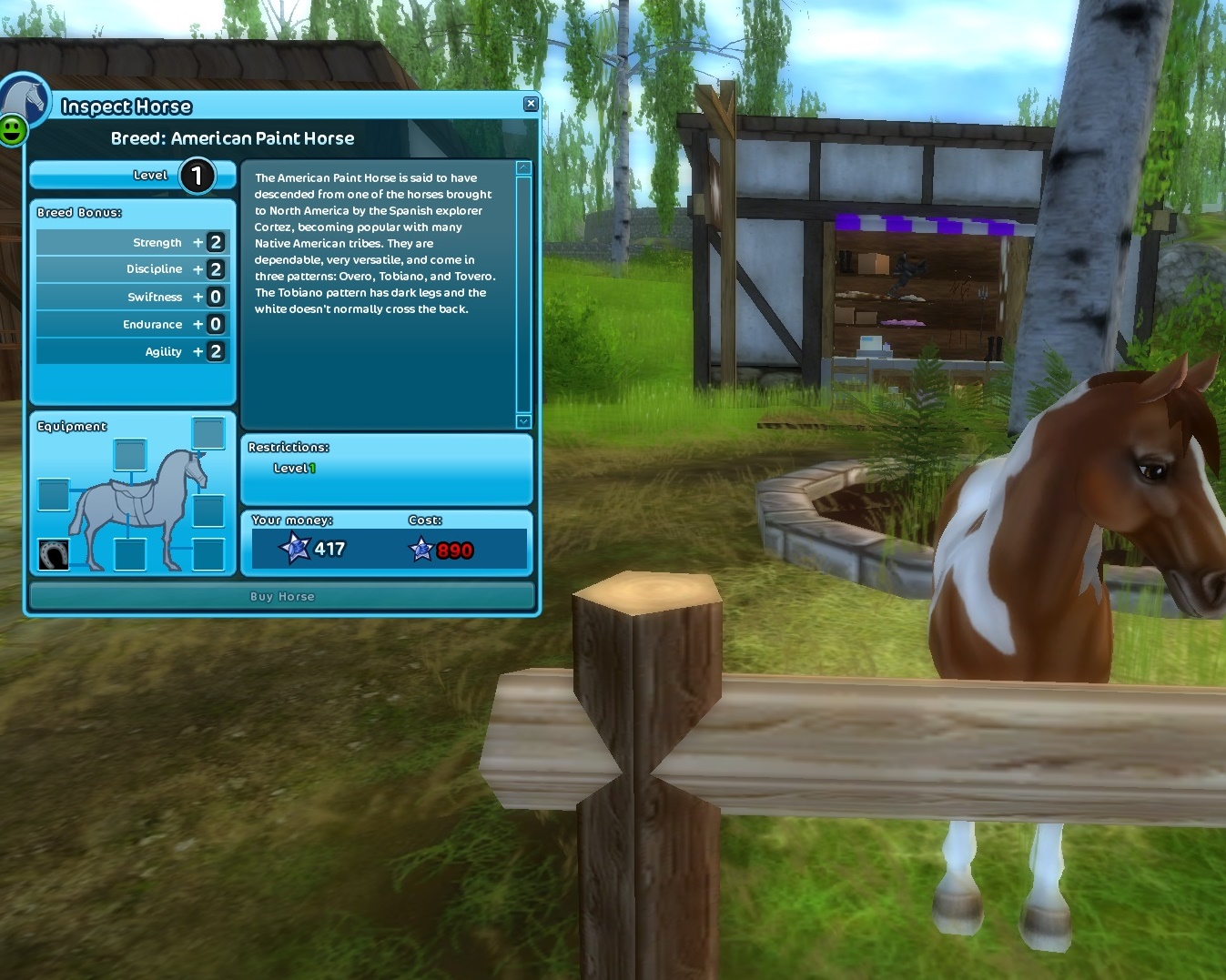 More Photos of New American Paint Horses!