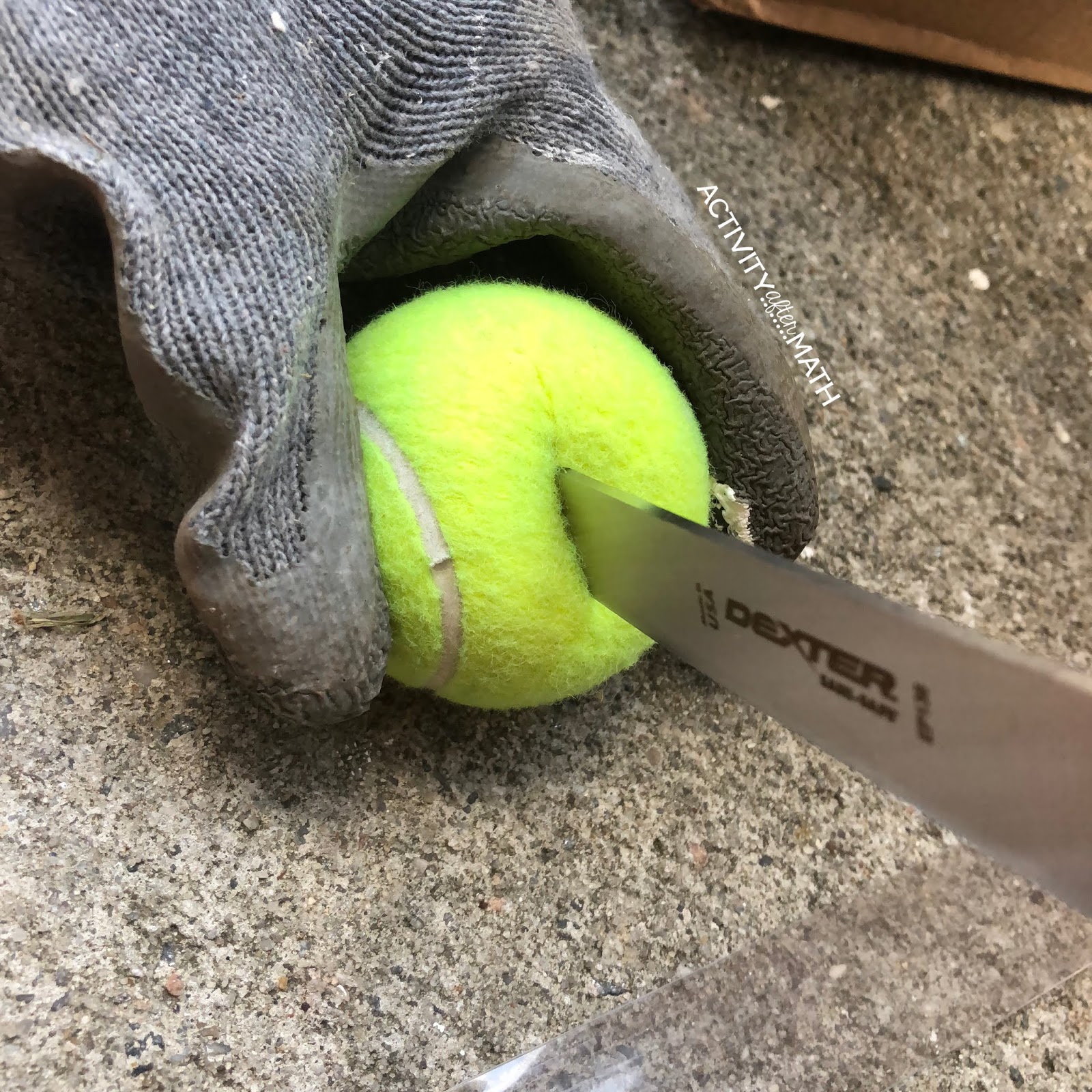 Activity After Math with Hayley Cain How To Put Tennis Balls on your