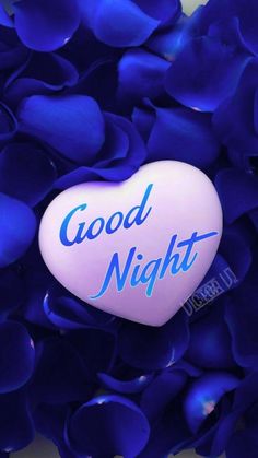 good night msg