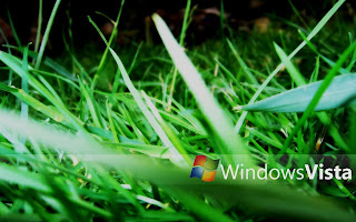 Windows Grass Wallpapers