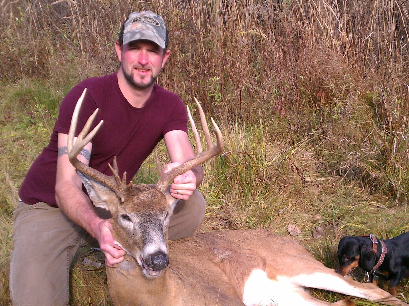 Illinois Deer Tracking Dog Leashed Tracking Dog for Recovering Wounded