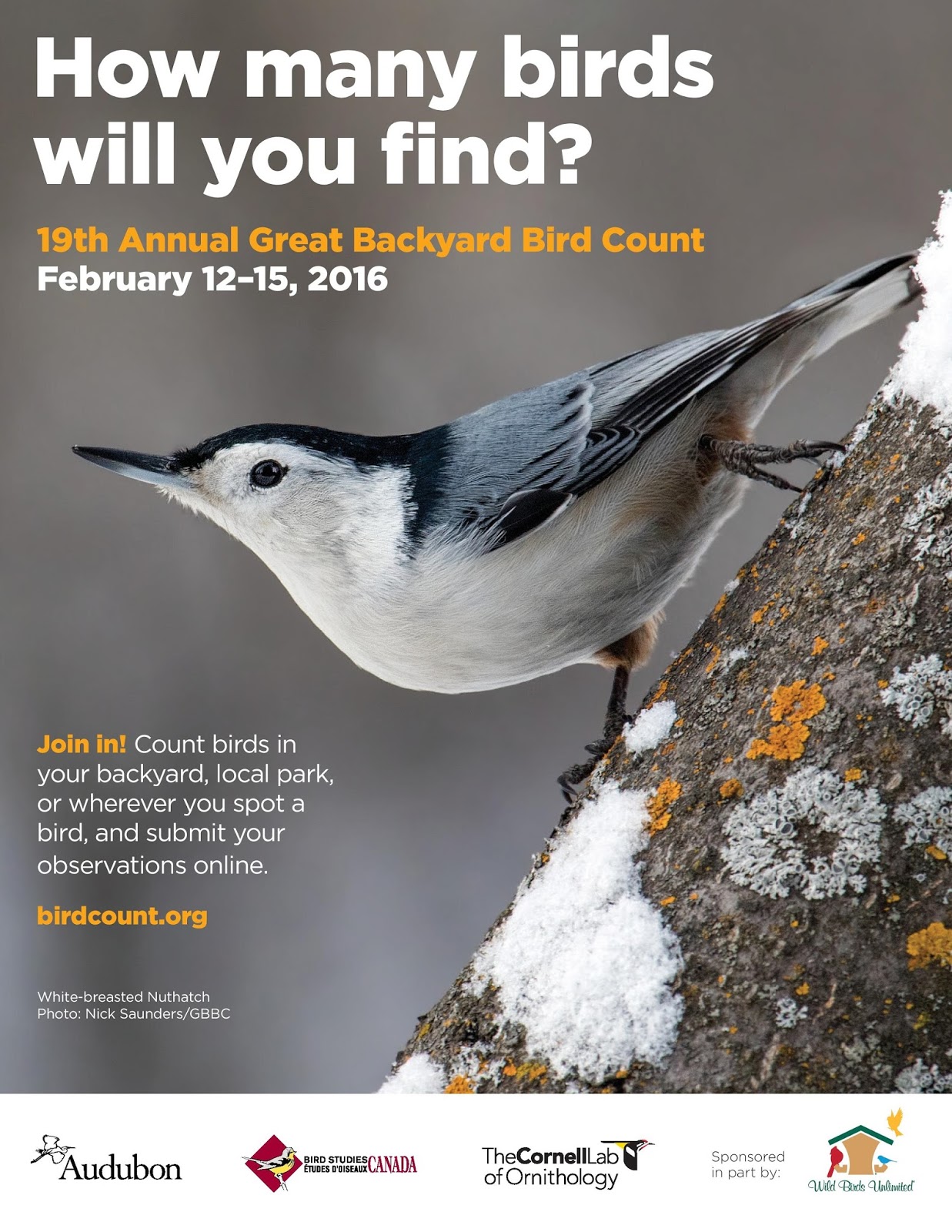 Earth and Space News 2016 Great Backyard Bird Count Runs Worldwide Feb