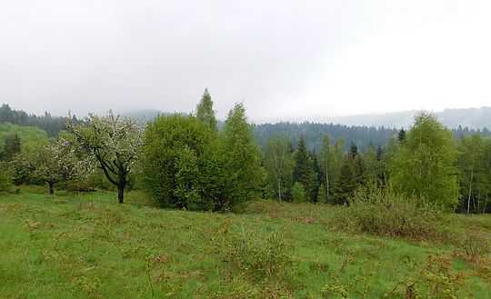 Polana Przysnopek. Polana Przysnopek.