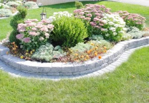 flowers for flower lovers.: Flowers garden designs ideas.