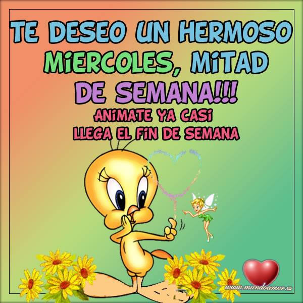 Image result for IMAGEN DE FELIZ MIERCOLES