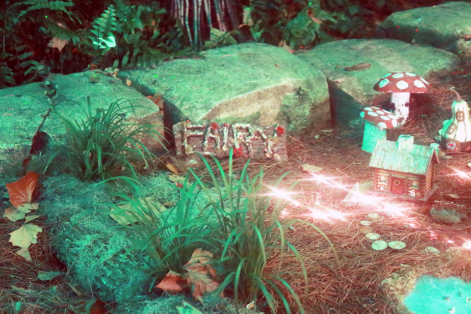 Zoo Lights at Jacksonville Zoo 2016