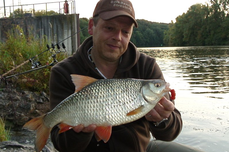 World record roach fish Clearance