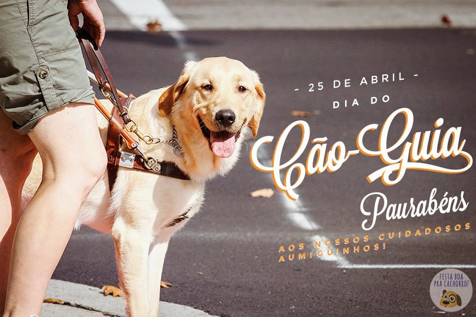 Em que dia é comemorado o dia internacional do cão guia Clearance