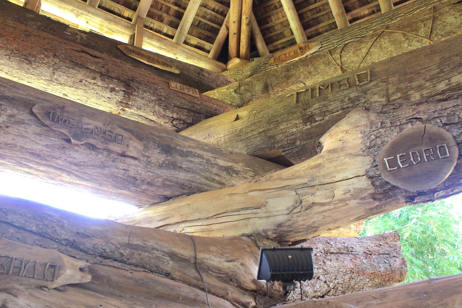 la ariupuca different wood