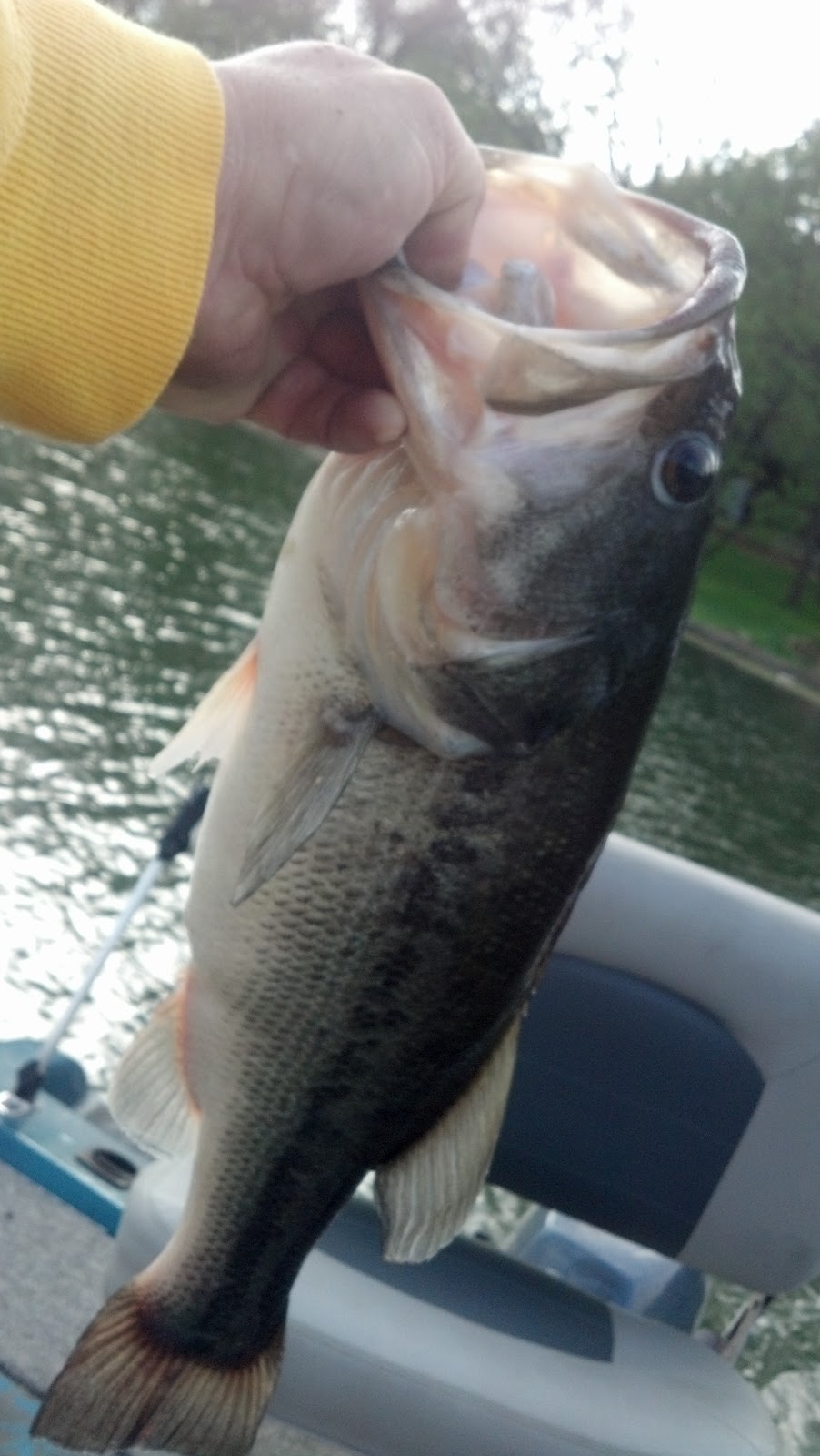 Weatherby Lake Fishing