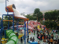 Kiddie Pool