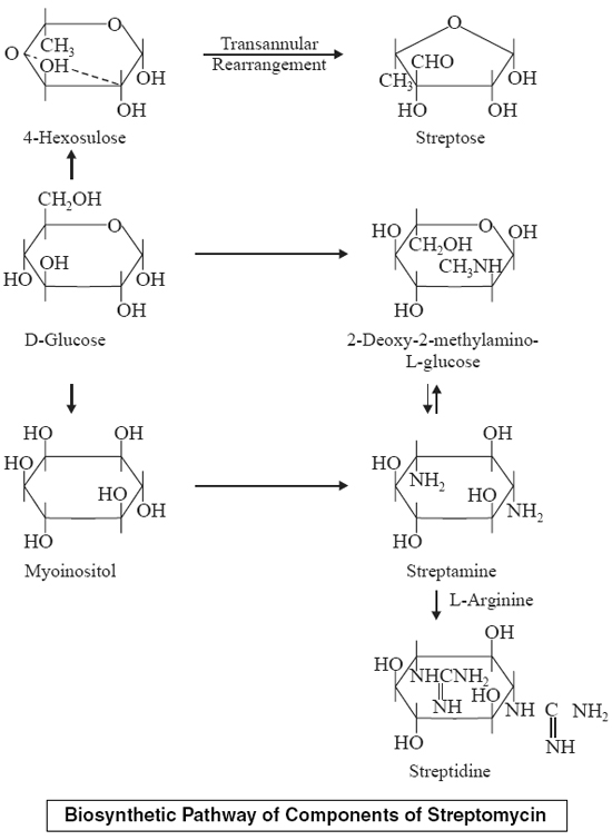 Biosynthesis of Components of Streptomycin