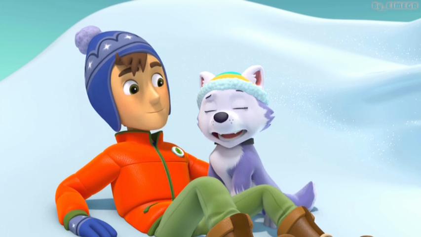 paw patrol pawsome collection dvd