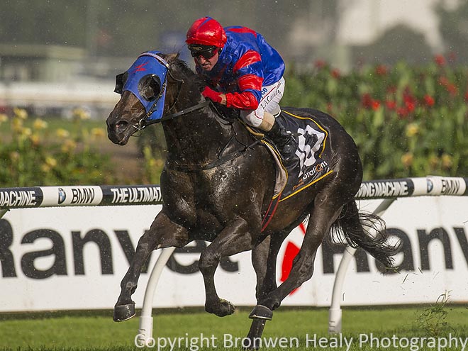 Pierro a pictorial history