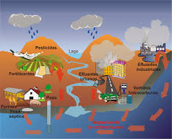 Las actividades humanas y la contaminación de las aguas