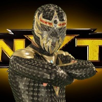 NXT_MascaritaDorada