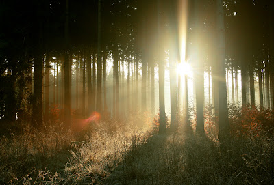 photography lighting