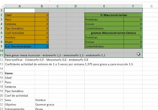 Excel que calcula las kilocalorías necesarias para una dieta y objetivo en particular Imagen%2B023