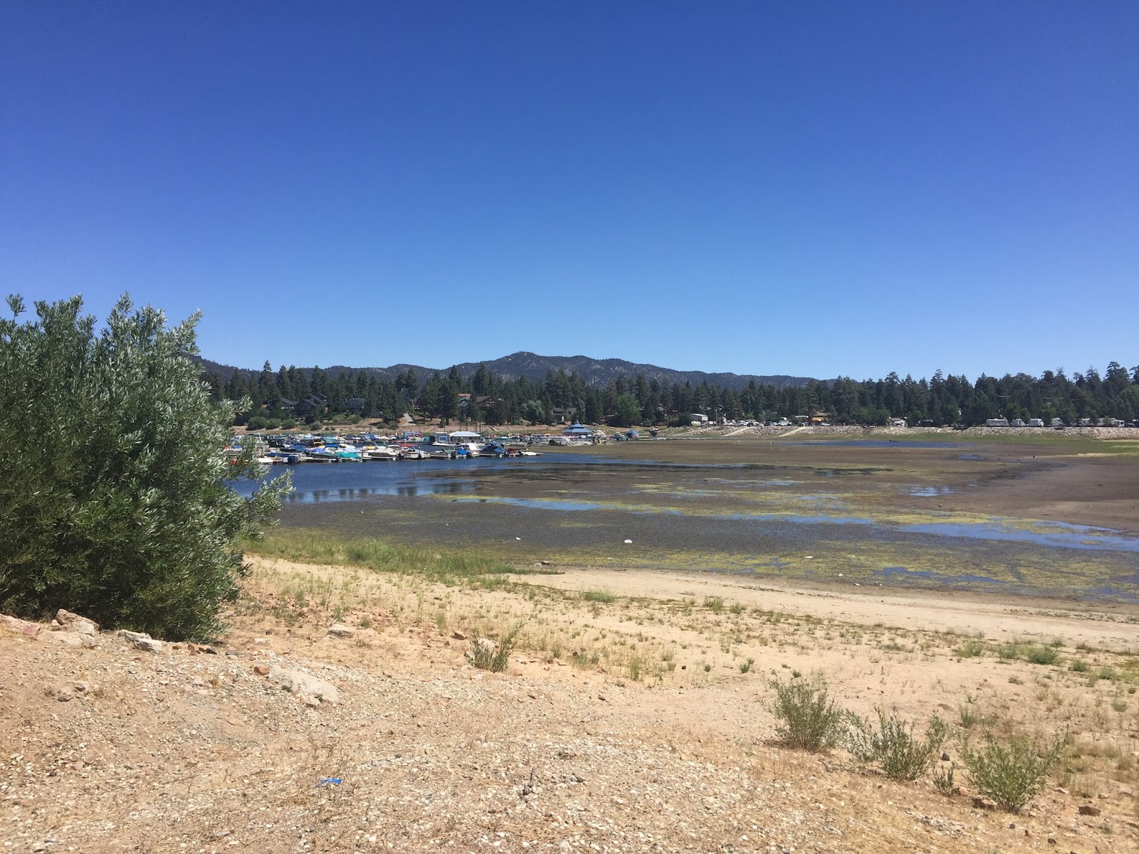 Heal the Earth Effect of the California Drought on Big Bear