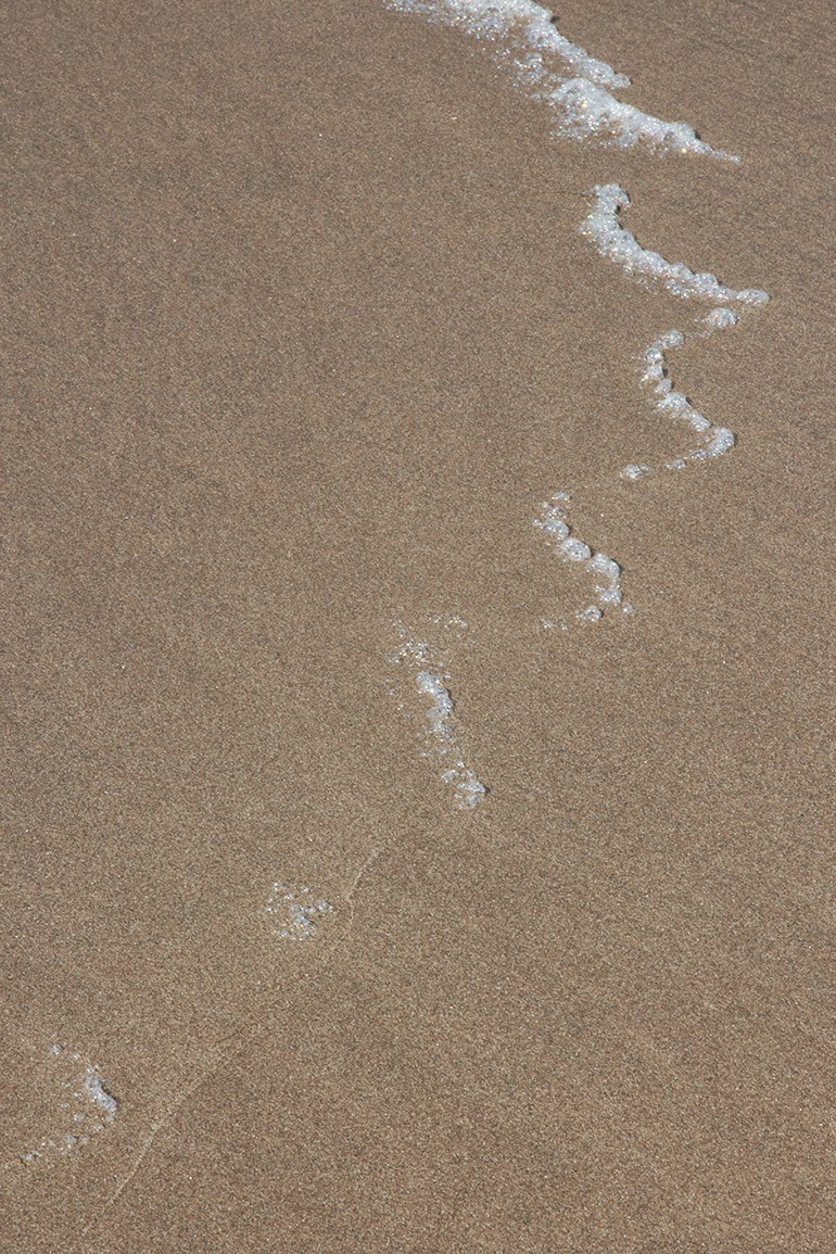 thin curls of sea foam in sand