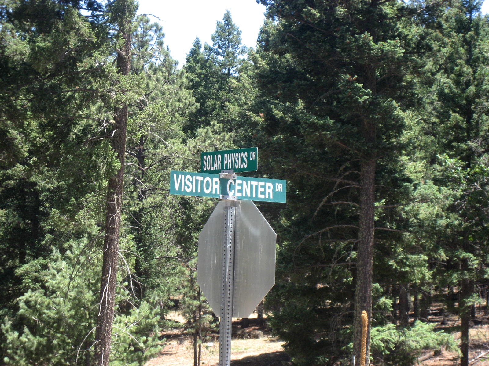 Living Rootless Sunspot, New Mexico National Solar Observatory