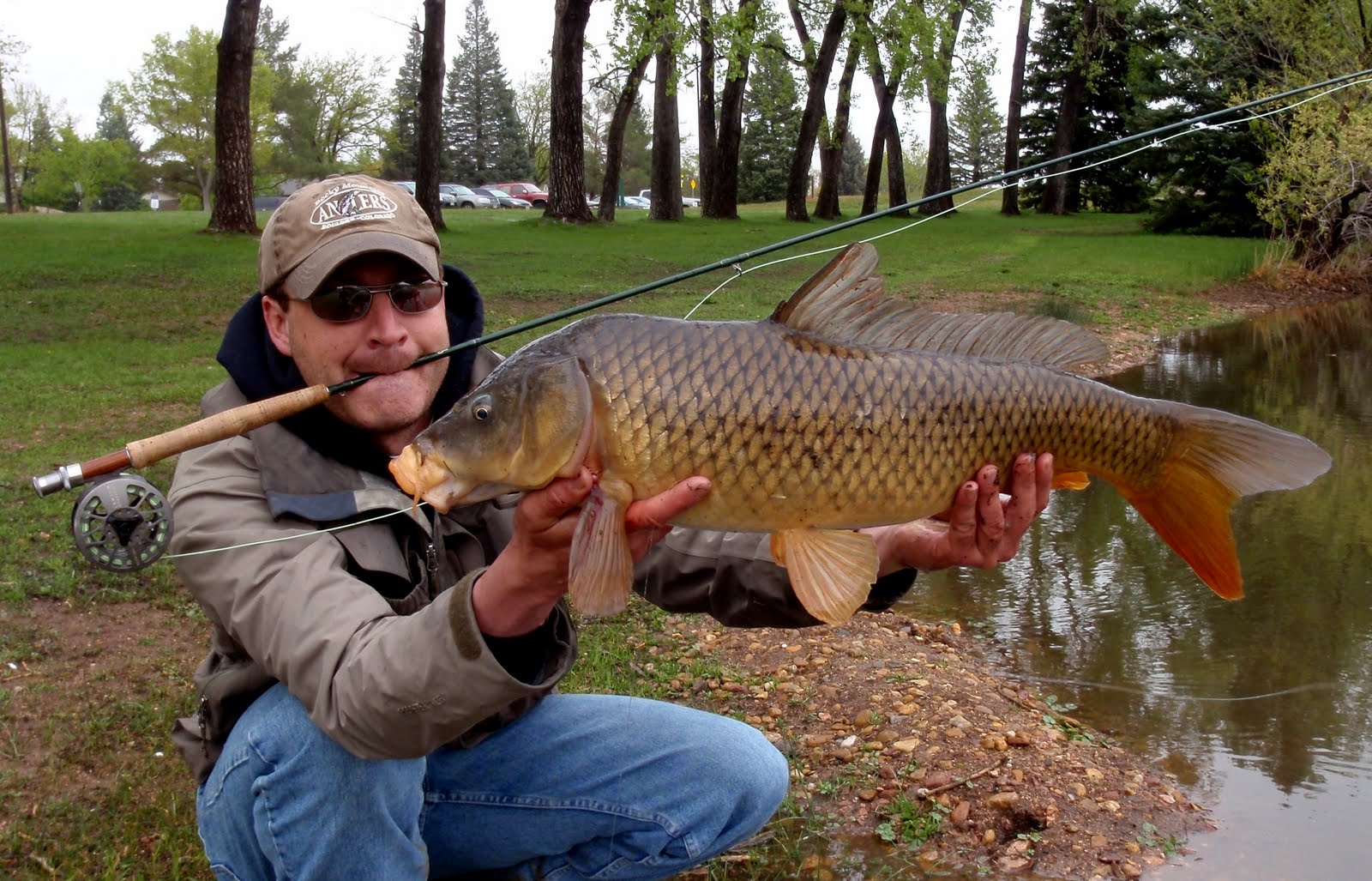 Colorado Fly Fishing Reports Rainy Day Carp