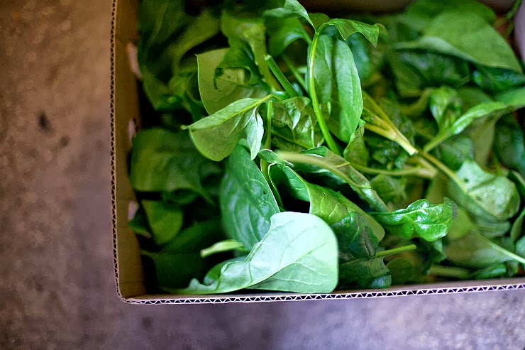 Foxs Lane: saving spinach