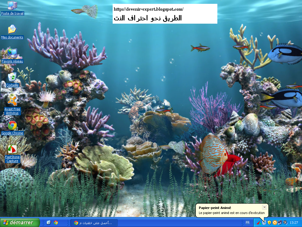 احصل على خلفيات متحركة جميلة ورائعة مجانا على سطح مكتبك