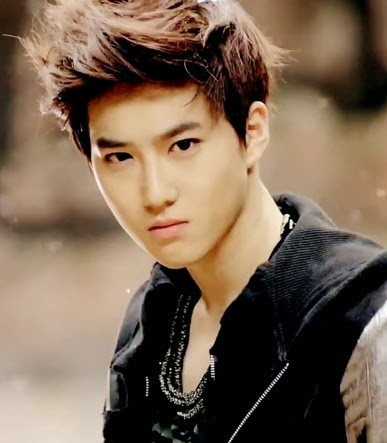 New Update: Biodata EXO K