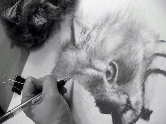 lifelike_pencil_drawings_03.jpg