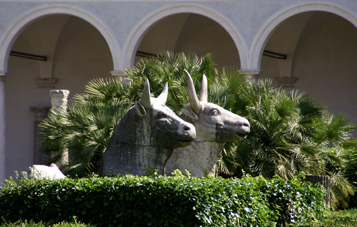 El blog del padre Eduardo Sanz de Miguel: Animales en Roma (8)