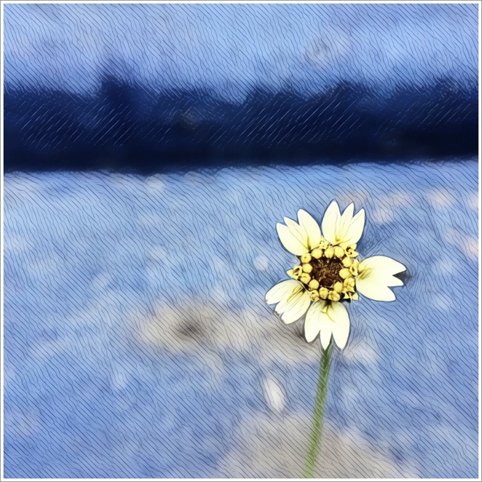 My Image 36