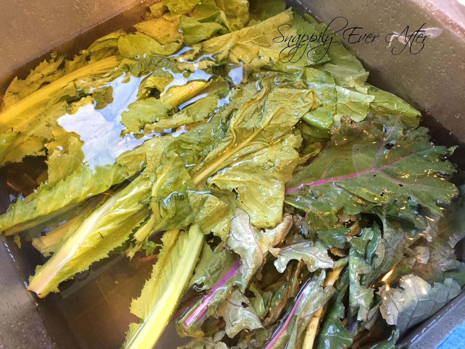 Snappily Ever After How to Clean Your Kale Ahh Bugs!!