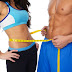 More about Macro-Patterning used inside 14 Day Rapid Fat Loss Plan