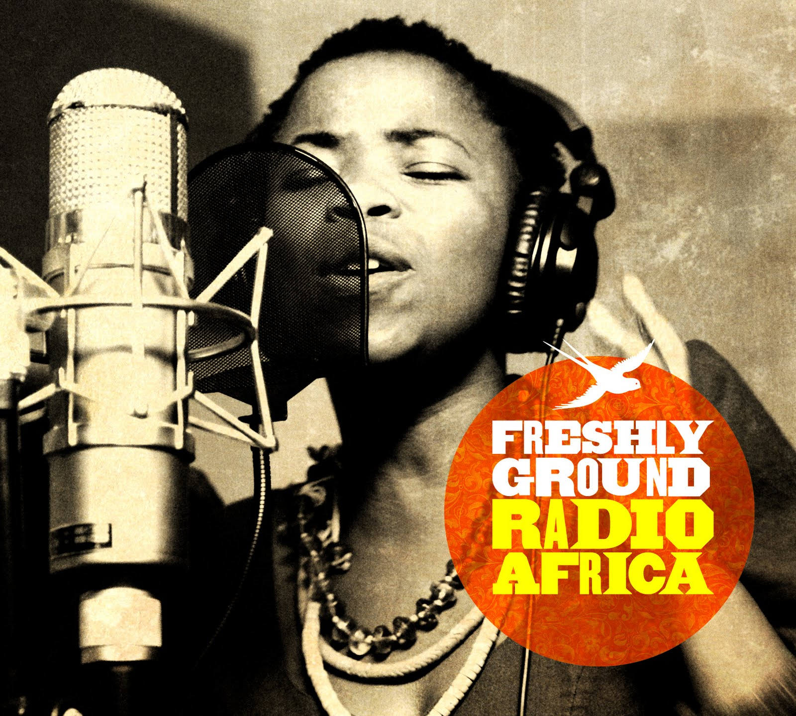 My year of Music 2011