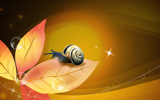 Snail-3d-hd-wallpapers-free-download