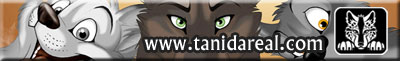 www.tanidareal.com