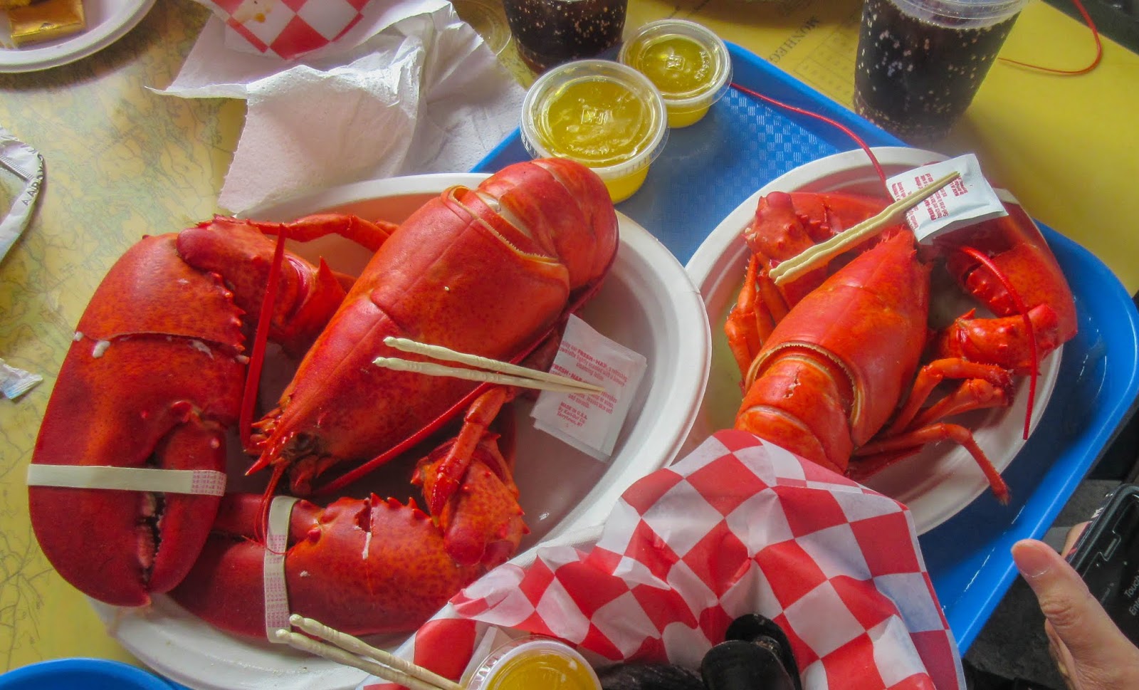 Cannundrums Beal's Lobster Pier Southwest Harbor, Maine