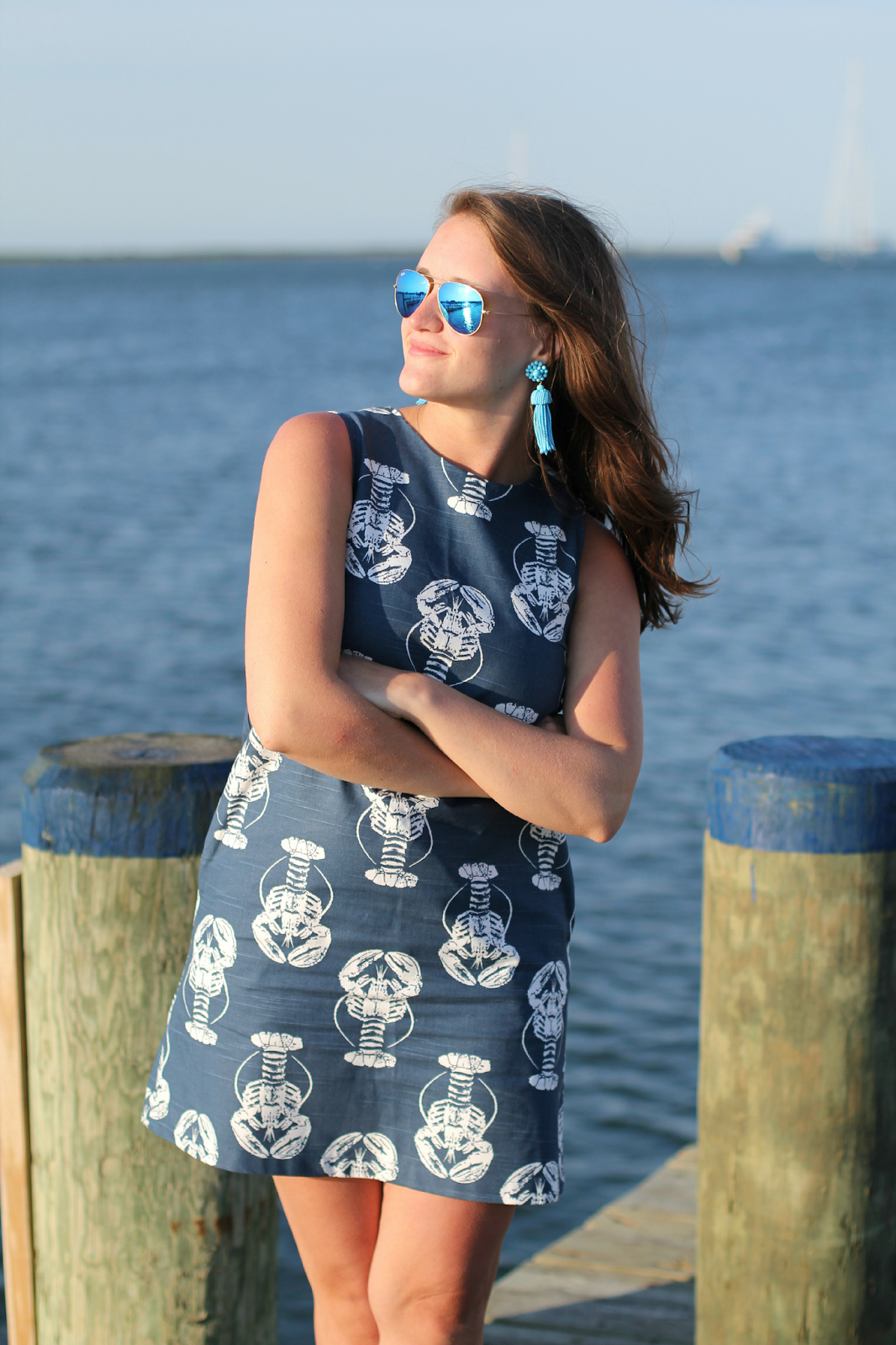 Love, Lilly Lobster Dress Connecticut Fashion and Lifestyle Blog