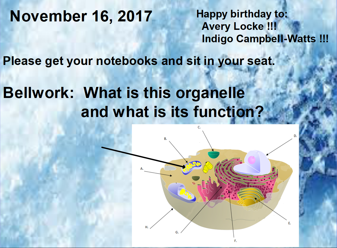 Mrs. Counts 7th grade Science Class: Thursday November 16