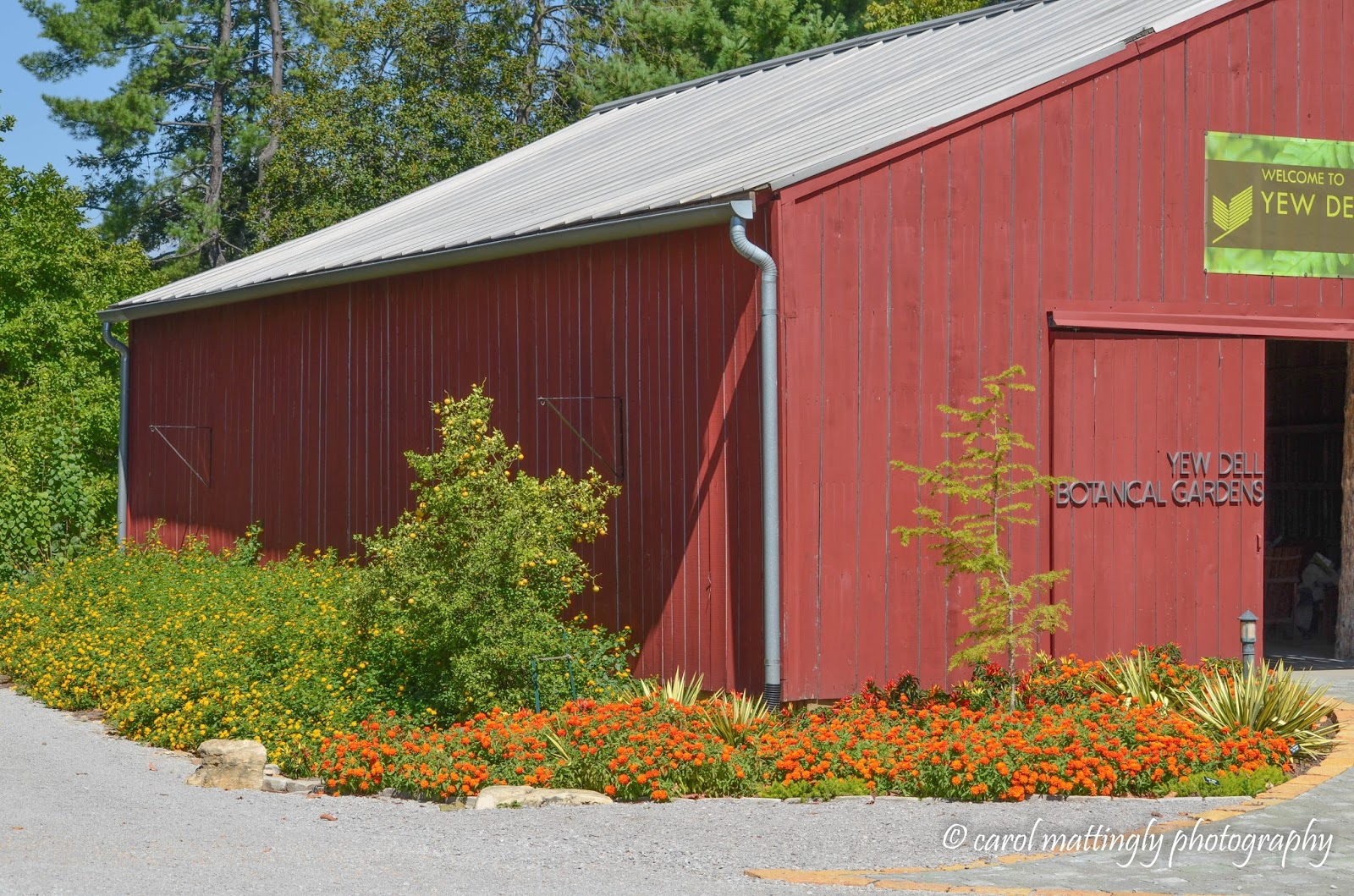 Carol Mattingly Photography Barns Of Kentucky