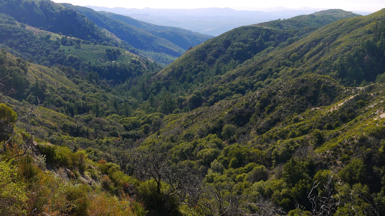 Peaks For Freaks: Wild Horse Peak, Agua Benchmark, Eagle Crag, Agua ...