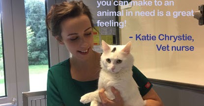 Cats Protection Cat Care Assistant Cats Protection Cat Care Assistant